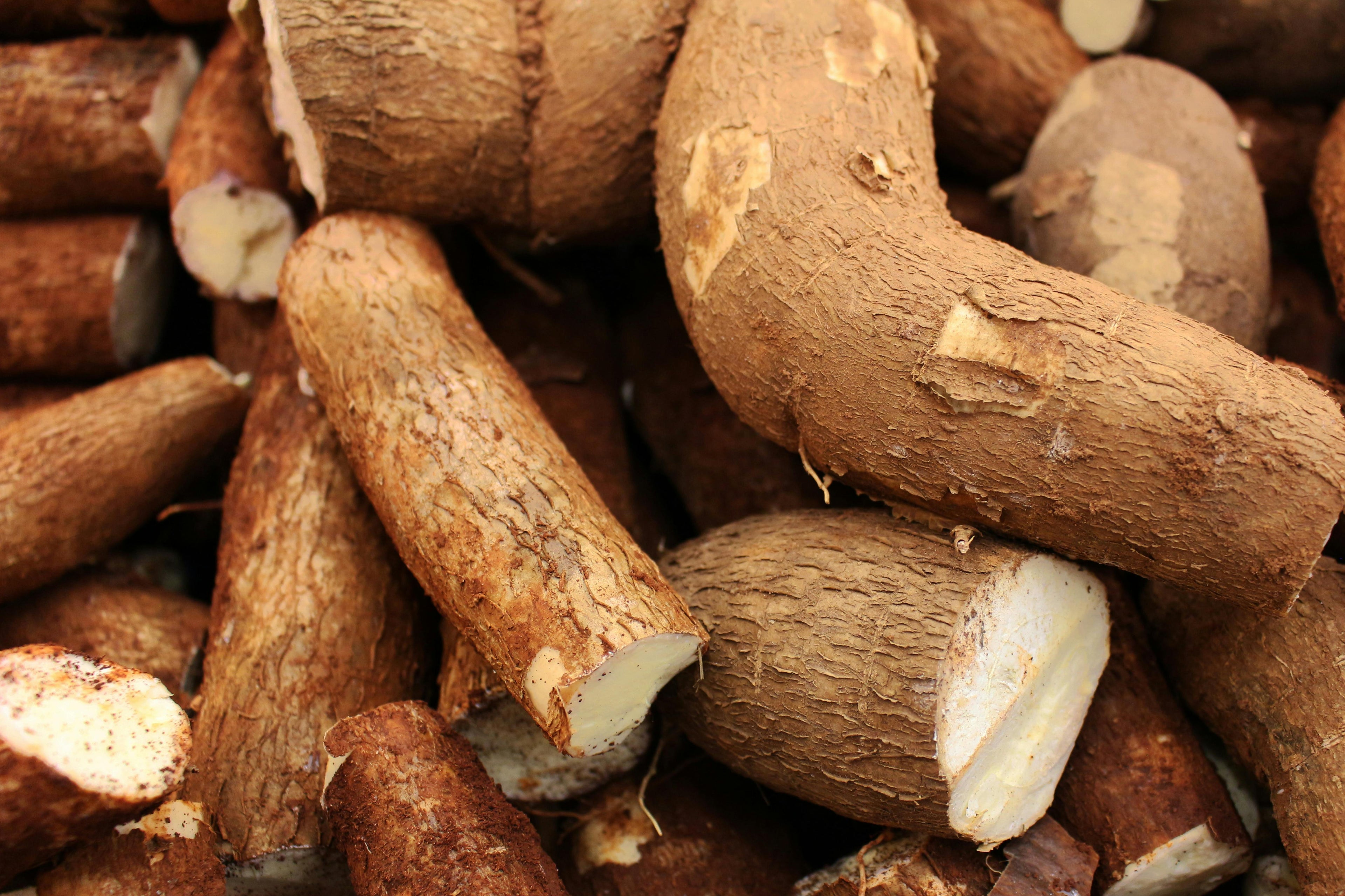 Racines, tubercules & spécialités