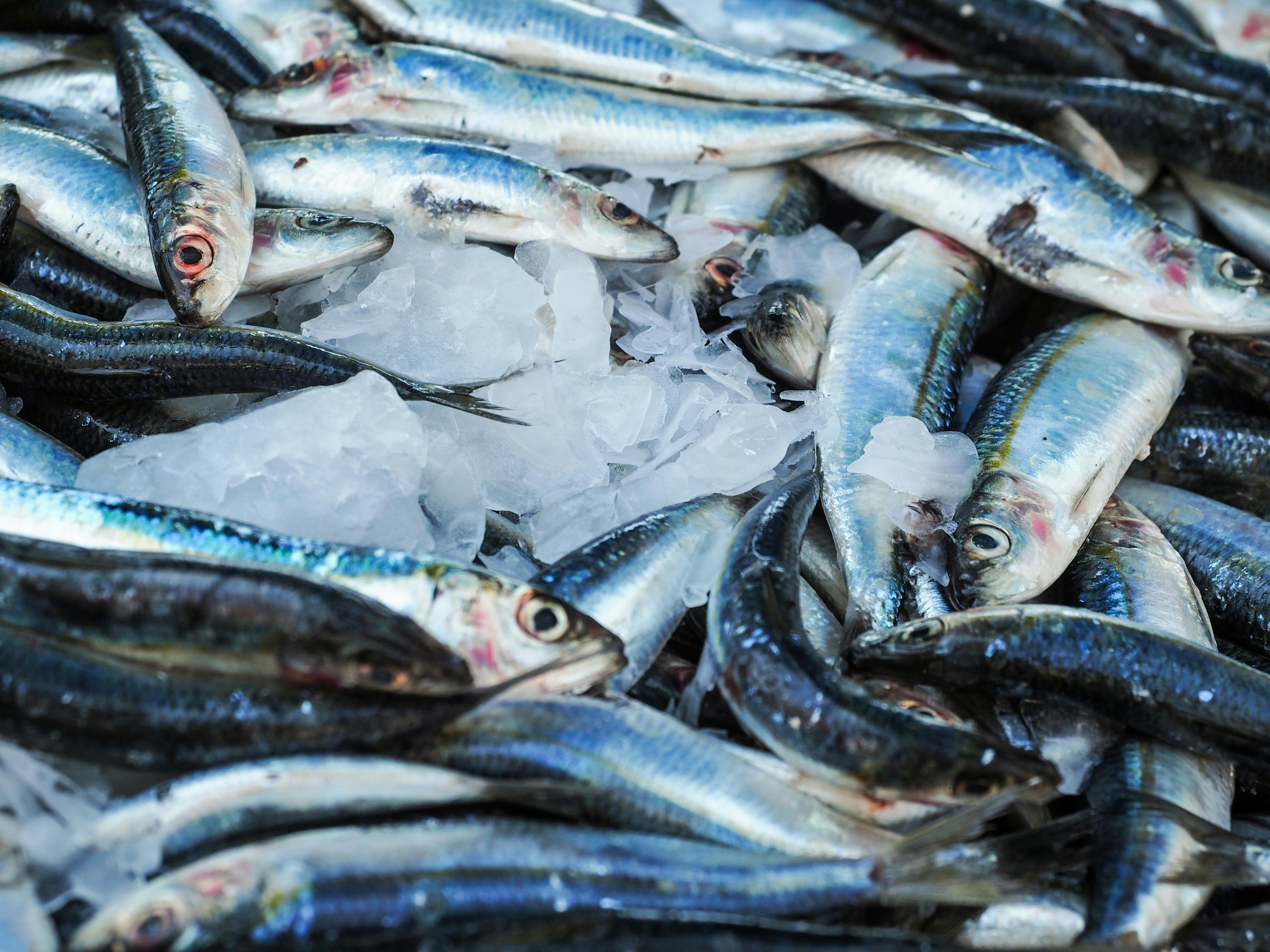 Poisson